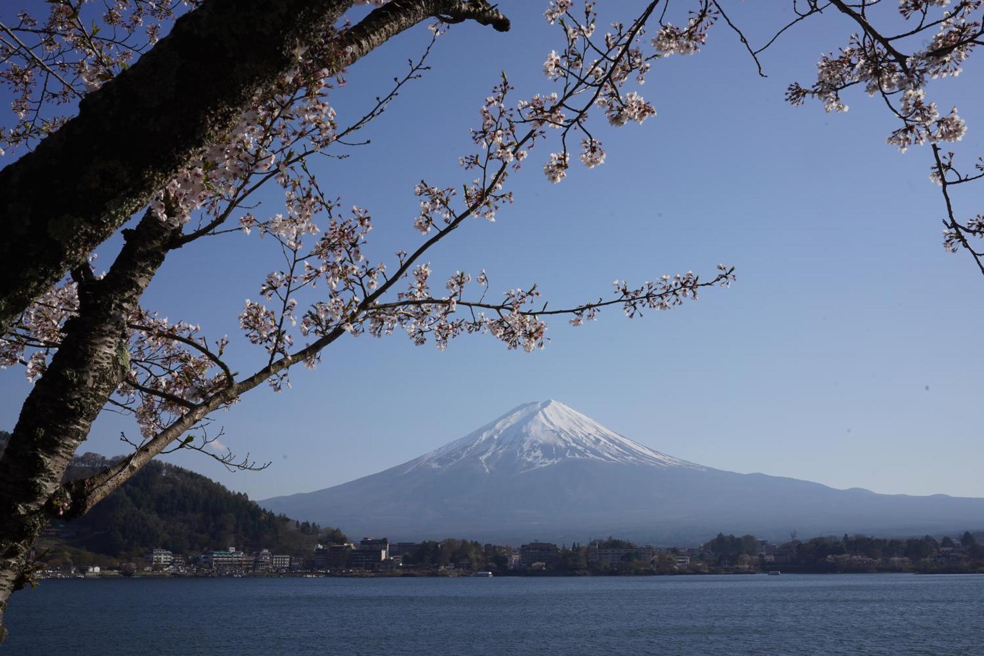Kominkayado Loof Sawanoie Fuefuki Экстерьер фото